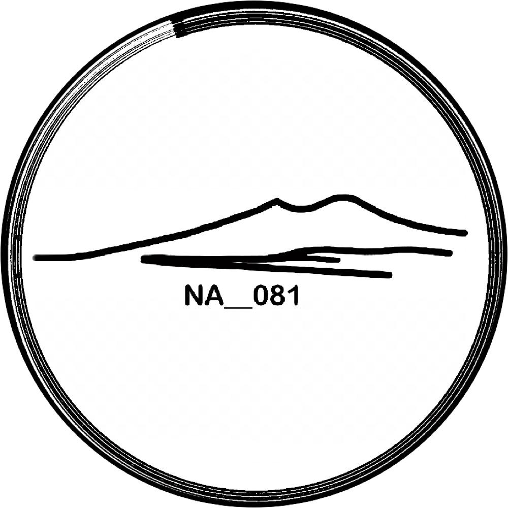 NA__081, un progetto nato per passione