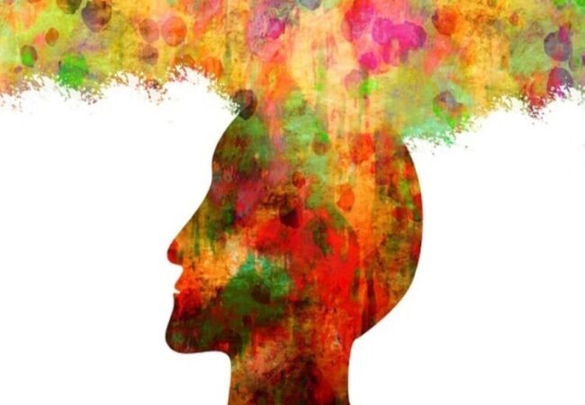 Non ci sono fatti, solo interpretazioni: Kant alle prese con la massima nietzschiana