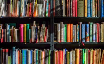 Jane Austen: i romanzi più importanti