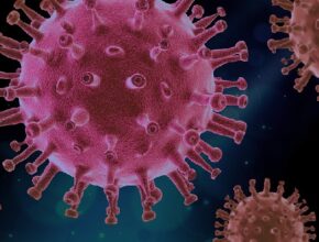 virus più pericolosi del mondo