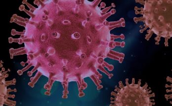 virus più pericolosi del mondo