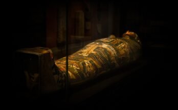 lo stadio ultimo dei riti funebri dell'antico Egitto: un sarcofago contenente la salma trattata