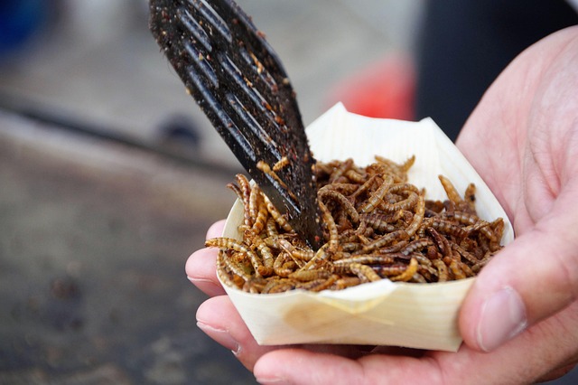 Mangiare insetti, la possibile svolta culturale nella dieta alimentare