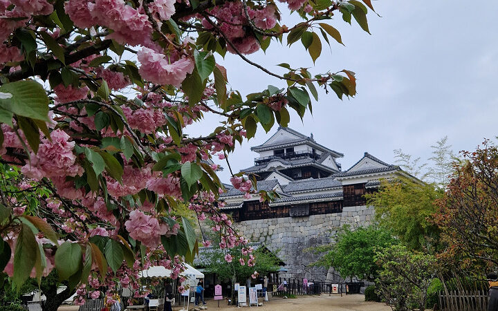 5 luoghi da non perdere a Matsuyama