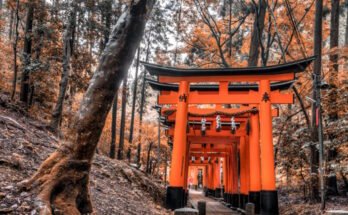 Nara: la prima capitale fissa del Giappone