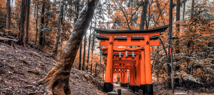 Nara: la prima capitale fissa del Giappone