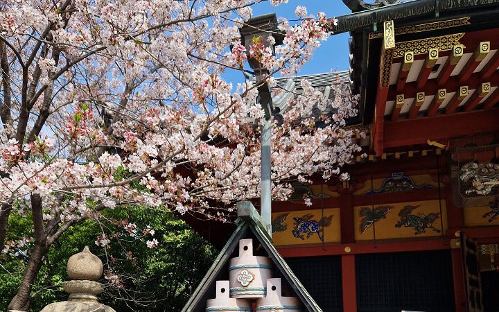 Visitare Tokyo: 5 luoghi da non perdere