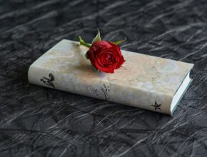 Sant Jordi