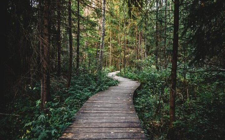 Trekking in Toscana: i 6 percorsi più interessanti