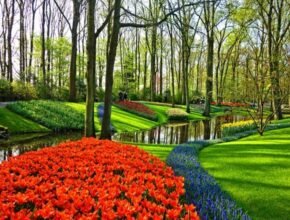Giardini più belli del mondo: 10 meraviglie verdi nascoste