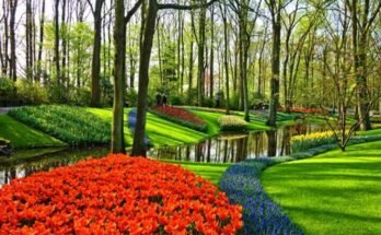 Giardini più belli del mondo: 10 meraviglie verdi nascoste