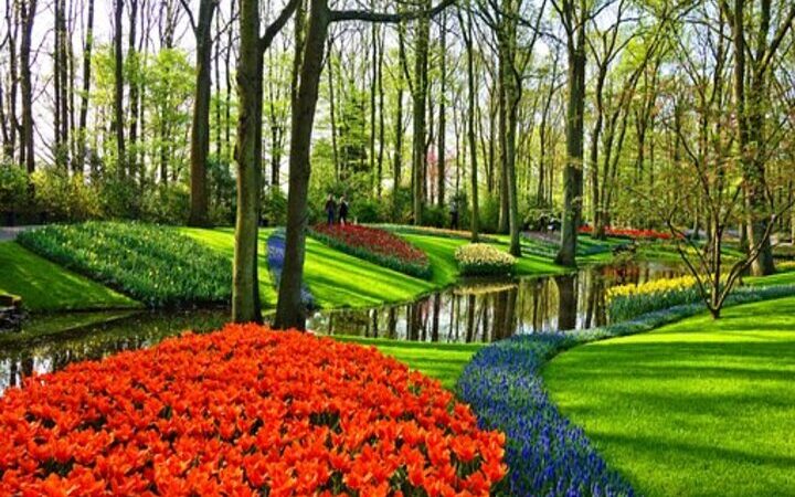 Giardini più belli del mondo: 10 meraviglie verdi nascoste