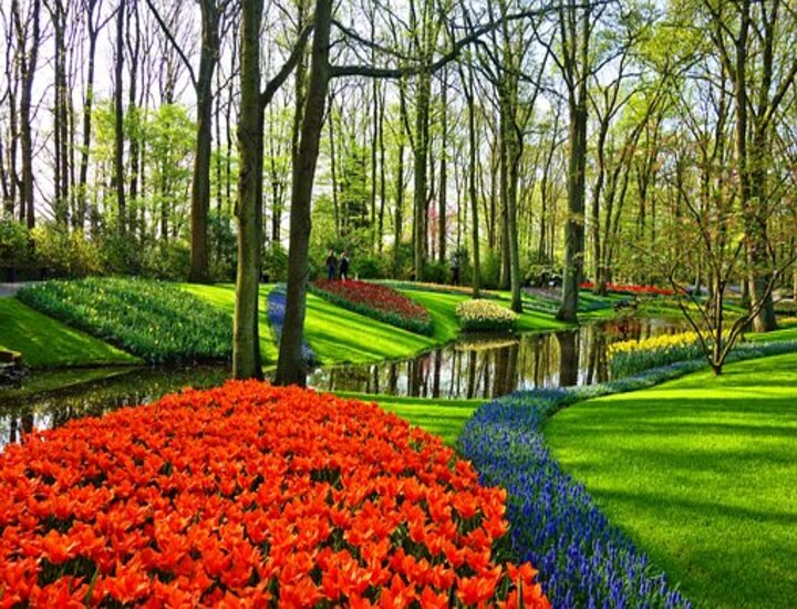 Giardini più belli del mondo: 10 meraviglie verdi nascoste