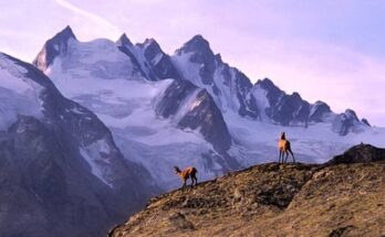 parco nazionale gran paradiso