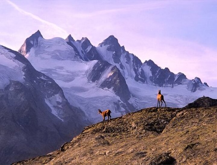 parco nazionale gran paradiso