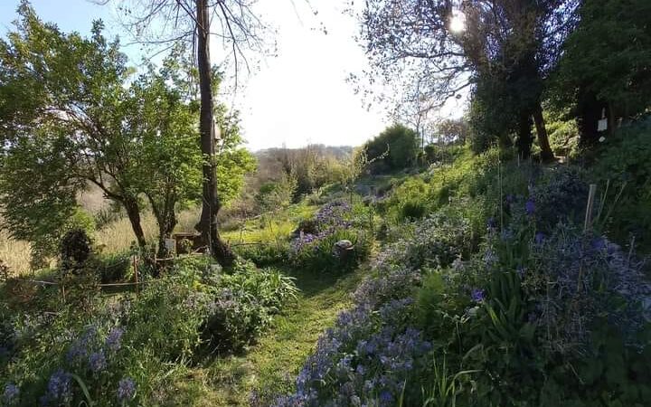 L’Orto Botanico del Sannio, una perla nascosta da visitare