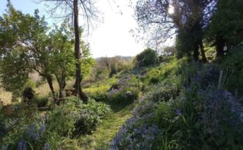 L’Orto Botanico del Sannio, una perla nascosta da visitare