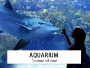 Aquarium: un viaggio negli oceani al Neapolis