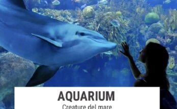 Aquarium: un viaggio negli oceani al Neapolis