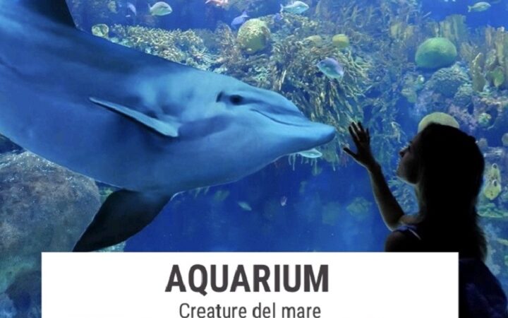 Aquarium: un viaggio negli oceani al Neapolis