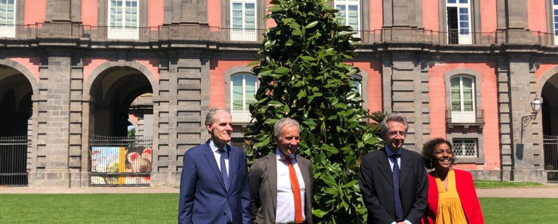 Un albero dell'amicizia per la comunità franco-napoletana