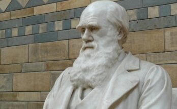 Charles Darwin: l'origine della specie