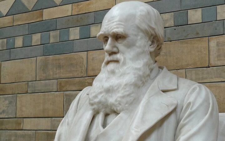 Charles Darwin: l'origine della specie