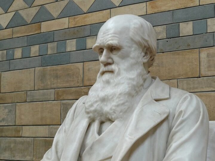 Charles Darwin: l'origine della specie