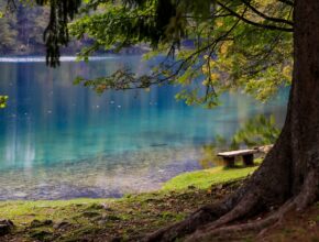 Mentalità positiva: 10 strategie per cambiare il tuo modo di pensare