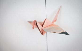 Origami all'Alba, Clara Soccini | Recensione