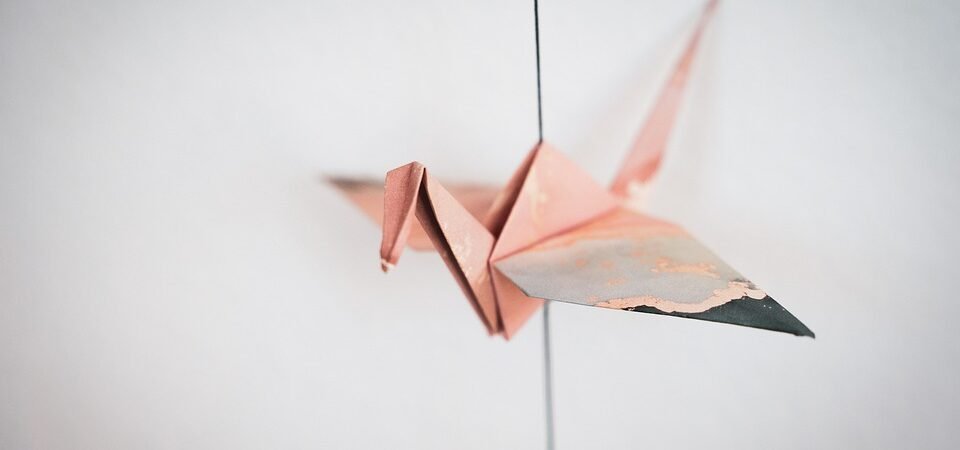 Origami all'Alba, Clara Soccini | Recensione