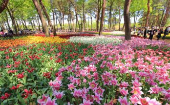 Bellezze naturali, luoghi unici da visitare