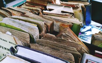 Secondo tempo, la bancarella di Piazza Beccaria dove Tommaso Tronconi vende libri di seconda mano