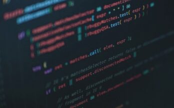 Coding per principianti: le basi