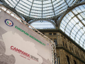 Campania Wine Sustainability