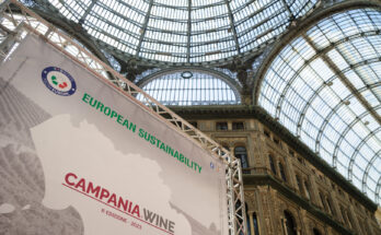 Campania Wine Sustainability