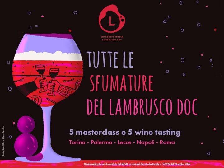 Lambrusco DOC