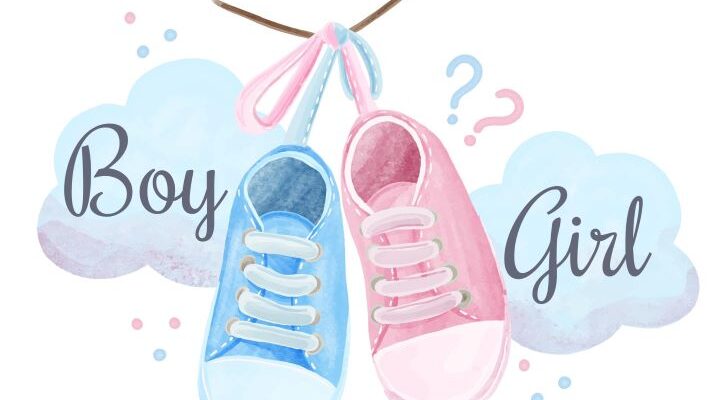 il gender reveal è una festa sessista?