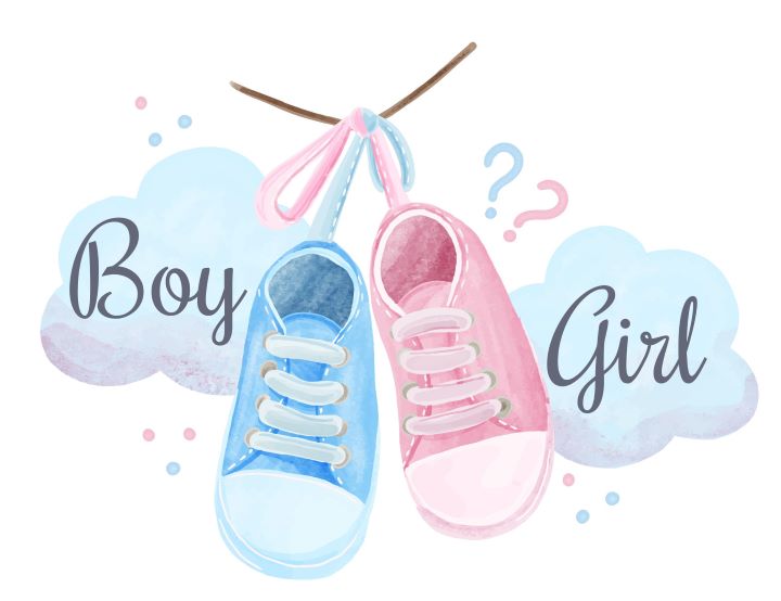 il gender reveal è una festa sessista?
