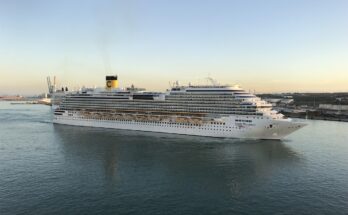 Porto di Civitavecchia, le varie soluzioni per raggiungerlo velocemente