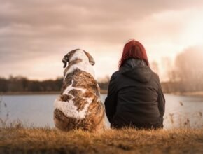 Adottare un cane da un rifugio: 5 aspetti da conoscere