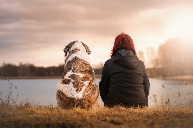 Adottare un cane da un rifugio: 5 aspetti da conoscere