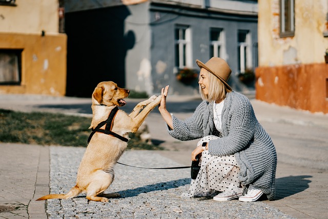 Adottare un cane, cosa c'è da sapere