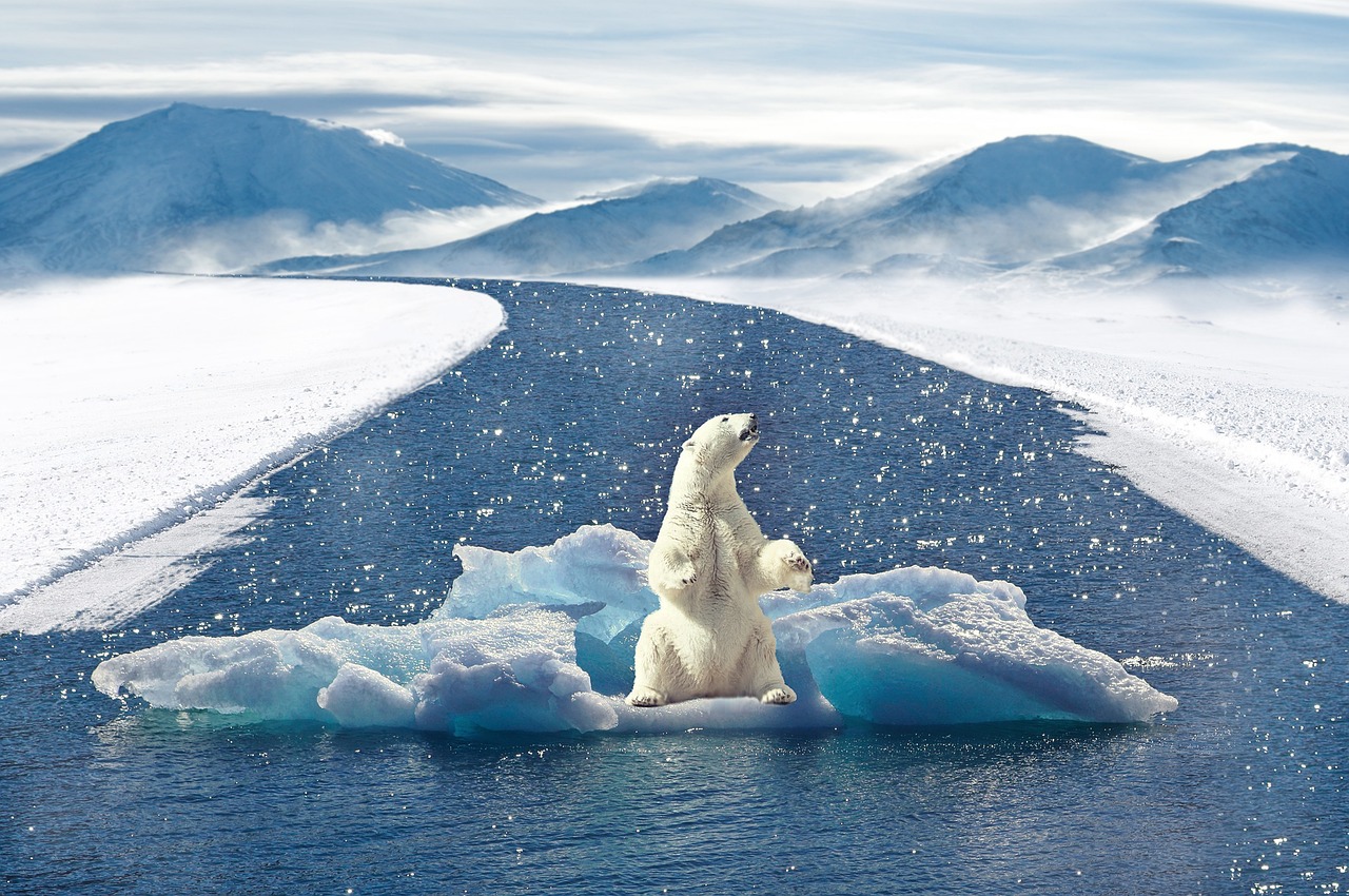 Cambiamento climatico e impatto sulla geografia mondiale