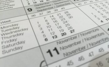 Il calendario cinese vs calendario gregoriano