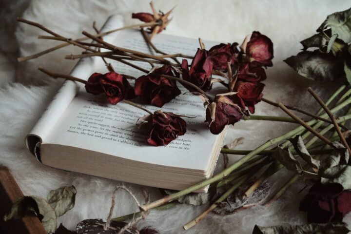 Poeti romantici inglesi: i 4 più rappresentativi