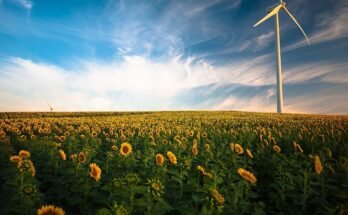 Fonti di energia rinnovabile: soluzioni sostenibili