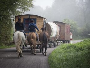 La cultura dei gitani: un viaggio tra musica e tradizioni