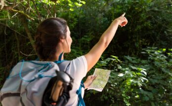 Viaggi sostenibili: 4 consigli per ridurre l’impatto ambientale