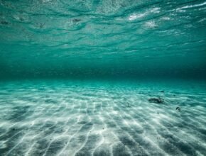 Mari e oceani: i polmoni blu del nostro pianeta